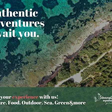 San Diego - Bright And Colourful Loft With Cathedral View דירה